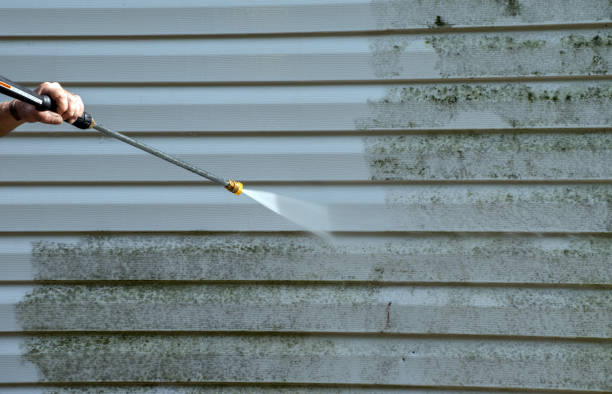 Professional Pressure Washing in Petersburg, AK