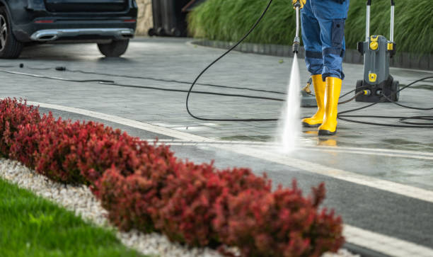 Best Residential Pressure Washing Services  in Petersburg, AK