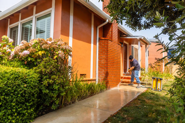 Best Residential Pressure Washing Services  in Petersburg, AK