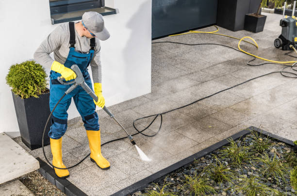 Best Local Pressure Washing Services  in Petersburg, AK