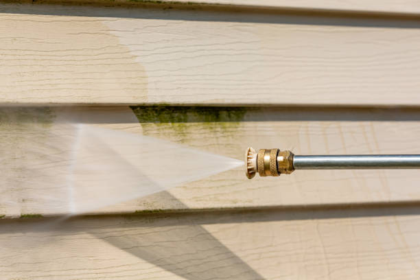 Best Affordable Pressure Washing  in Petersburg, AK
