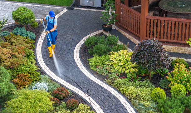 Best Power Washing Near Me  in Petersburg, AK