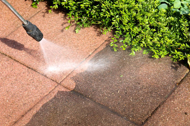 Best Garage Pressure Washing  in Petersburg, AK